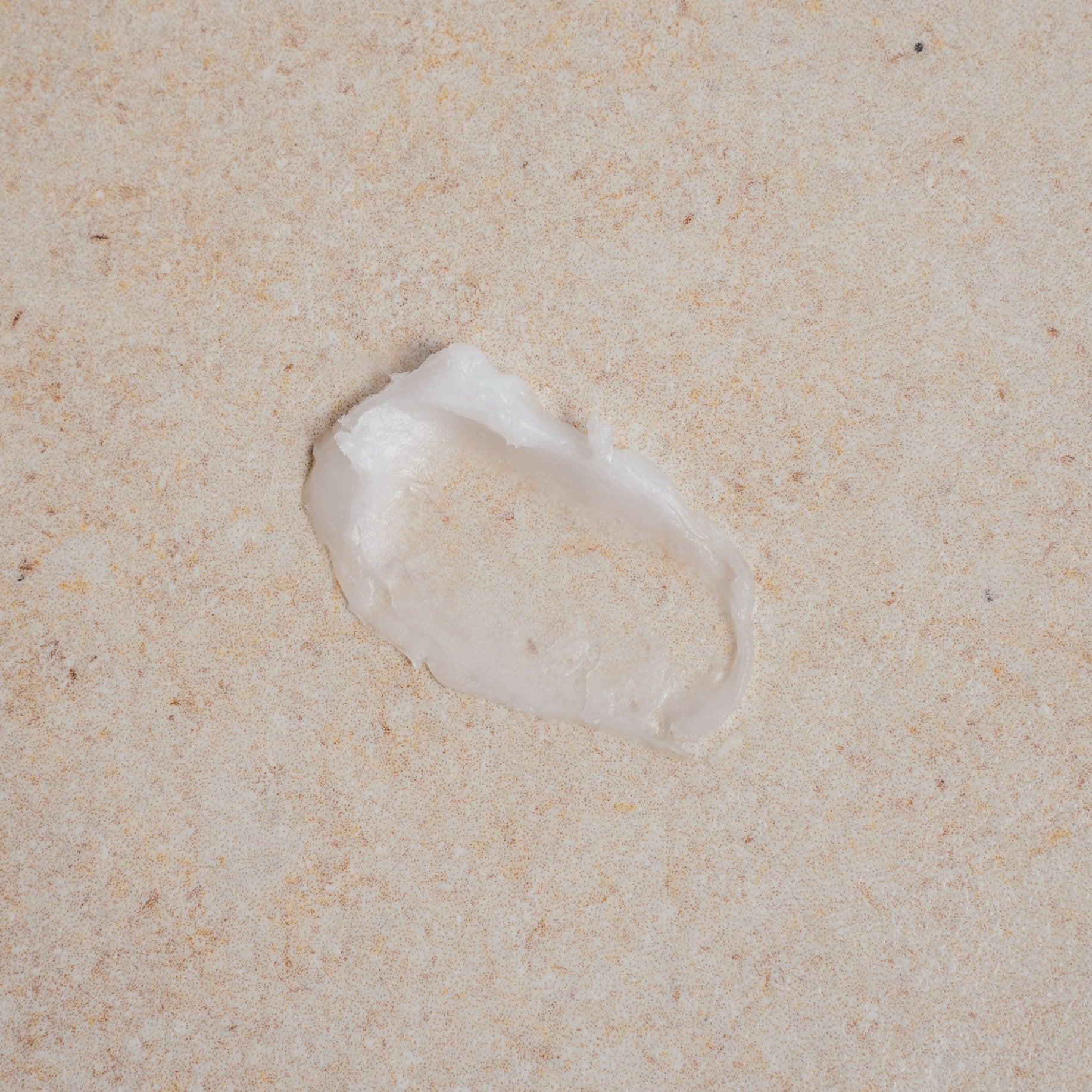 Winter Nighttime Duo